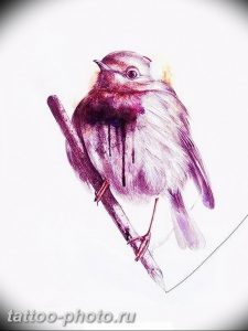 рисунка тату воробей 03.12.2018 №124 - photo tattoo sparrow - tattoo-photo.ru